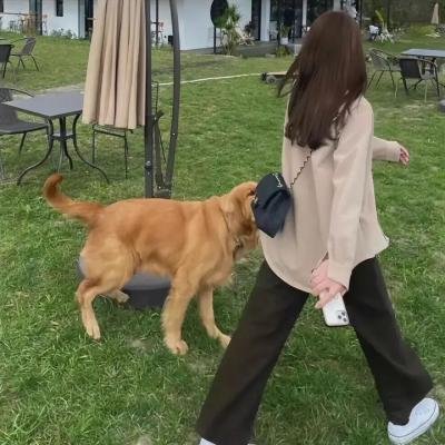兔子和公牛